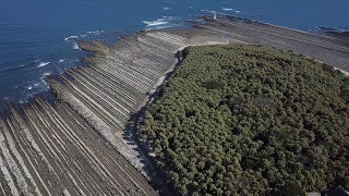 2018/01/01 宮崎・青島 空撮 Aoshima / Miyazaki