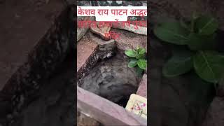 हजारों वर्ष पुराना अद्भुत महादेव मंदिर 🙏