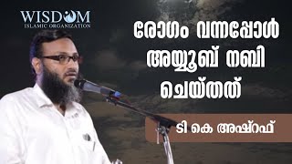 രോഗം വന്നപ്പോൾ അയ്യൂബ് നബി ചെയ്തത് | ടി. കെ. അഷ്റഫ്