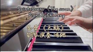 Saint-Saens 《The swan》  piano by Chi Feng     圣桑 《天鹅》 钢琴演奏 冯驰