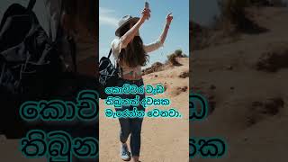 මැරෙන්න කලින්🙇‍♂️🤩💚 ජීවිතය විඳින්න #thoughtfull #shortvideo #sinhala