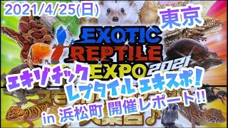 レプタイルエキスポ公式チャンネル2021/4/25(日)浜松町開催レポート‼︎ Exotic Reptile Expo in Hamamatsucho !