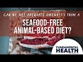 Can we get adequate Omega-3’s from a seafood-free animal-based diet?