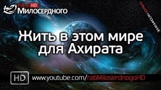 Удивительная история связанная с Умаром (р.а.)