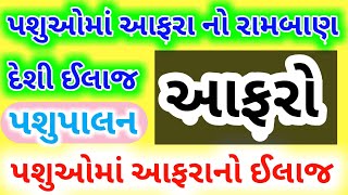 પશુઓને થતા આફરાનો આયુર્વેદિક ઉપાય || પશુઓને થતા આફરાનો ઘરેલુ ઉપાય || પશુઓને આફરો ચડે તો શું કરવું ?