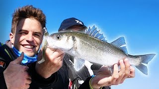 On s'affronte dans une ÉNORME compétition de PECHE EN MER - Barracuda Tour 2019