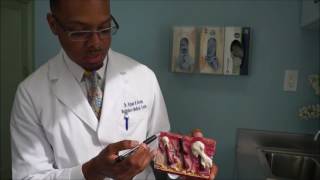 Acne 101 by Dr. Kyjuan Brown