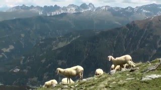 NatuurActief zomerweek: gezinnen in de Tiroolse bergen!