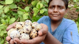 காடை முட்டை வேட்டை|Quail Eggs Hunting and Cooking|முட்டை கிரேவி|Small Boy Suppu|Village Food Safari