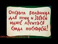 Эволюция Доктора Айболита ВСЕ ПОЯВЛЕНИЯ В ФИЛЬМАХ И МУЛЬТФИЛЬМАХ 1938 1990