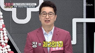 치매 \u0026 대장암을 부르는 장 내 박쥐 독소?! [내 몸 플러스] 163회 20190922