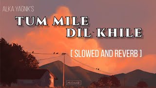 TUM MILE DIL KHILE - 🎧(slowed+reverb) Alka Yagnik | Criminal | Hindi Lofi Song Channel | #hindilofi