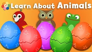 Surprise Egg Toys for Children | Animal Sounds for Kids | Toy Unboxing & Cartoons for Kids to Learn