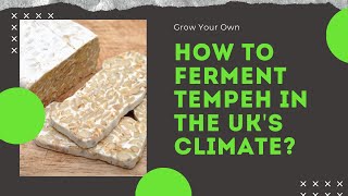 How to Ferment Tempeh in the UK's Climate?