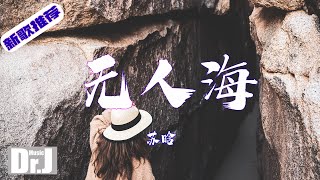 蘇晗 - 無人海『如果海的藍 是染了天空的色彩，那我在你心底 能否不留下空白』【高 音質|音樂|歌曲推薦 2022|音樂 推薦|抖音熱歌|抖音熱門歌曲|動態歌詞 Lyrics】