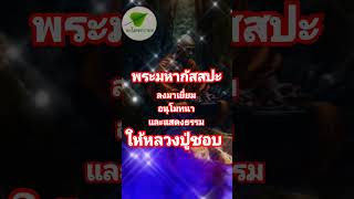 พระมหากัสสปะลงมาเยี่ยมอนุโมทนาและแสดงธรรมแก่หลวงปู่ชอบ#ธรรมะ #พระพุทธเจ้า