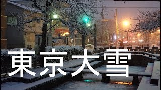 東京大雪です！ 2018年1月22日