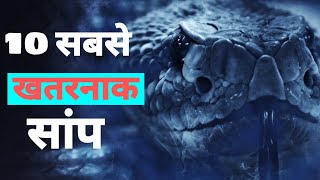 दुनिया के दस सबसे खतरनाक सांप। World's Top 10 Most Dangerous Snake ।