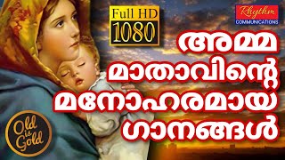 അമൂല്യമായ മരിയൻ ഗീതങ്ങൾ beautiful mother mary songs malayalam | marian songs | St Mary Pray for us