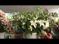 【k】russia travel sochi 러시아 여행 소치 신선한 고기와 과일이 있는 중앙시장 central market fish flower