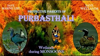 Protective Parents of Purbasthali | Monsoon Birding | Wetlands of West Bengal| Bird Photography