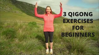 3 Qigong Exercises For Beginners To Relax, Energise and Rid Waste Qi From The Body | 5 Minute Qigong