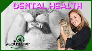Dog and Cat Dental Health with Dr. Katie Woodley - The Natural Pet Doctor