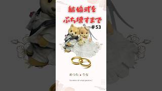 【シルバニア】結婚式をぶち壊すまでの100日間その53#shorts#ウェディング