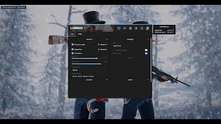 C++ ImGui Menu | Luminus [ImGui DX9/11/12]