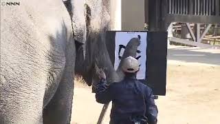 見事な筆さばき！ゾウのミドリが書き初め