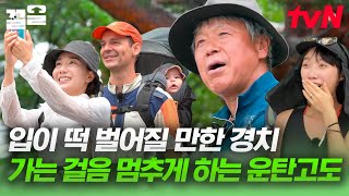 엄홍길 대장님과 함께 하는 우중 트레킹👍 한 폭의 수채화같은 보슬비 내리는 영월 만경사의 풍경 | 운탄고도마을호텔