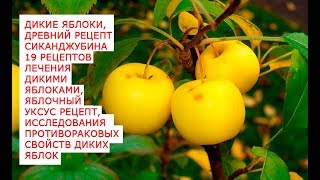 Дикие яблоки, уникальные целебные, омолаживающие, свойства дички Древний рецепт сиканджубина