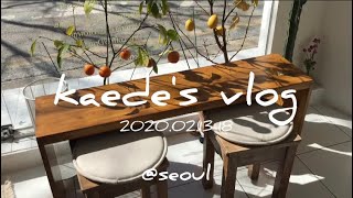 〖vlog〗韓国旅行part6:[弘大:ホンデ, 延南洞:ヨンナムドン]1人カフェ, 雑貨巡り, ご飯