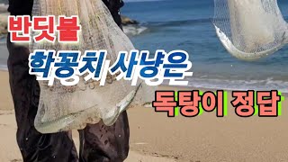 ●학꽁치사냥*투망여행●대물숭어출몰●숭어시즌시작●