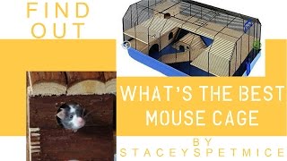 Best Mouse Cages? | Staceyspetmice