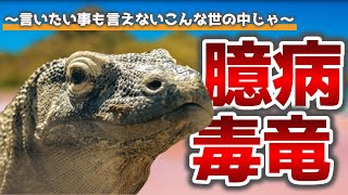 地を這う竜、コモドドラゴンの生態【ゆっくり解説】