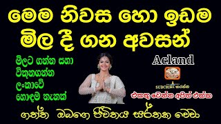 ආදායම් ක්‍රම කීපයක් | ප්‍රධාන පාරට පේන දුරින් | කොස් පොල් දෙල් පලතුරු |#house \u0026 #land sale #acland