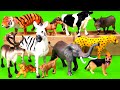 Wild Animals Matching For Kids - Zebra, Tiger, Cow, Cheetah, Elephant