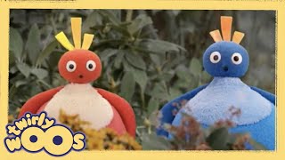 Up | Twirlywoos | Videos for Kids