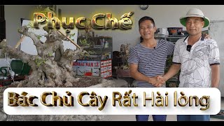 | NamLe Bonsai Định Hình Giúp Anh Tư Ở CLB Cây Cảnh Huyện Phú Xuyên . Cây Sanh Già !!!