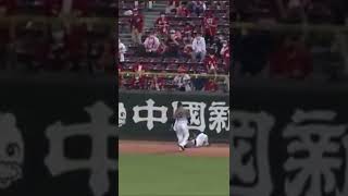 近本の大ファインプレー！！！！【阪神タイガース】