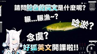 好狐英文開課啦!!  請問鯰魚的英文是?  你知道嗎?  [Hololive/ホロライブ]   [店長切り抜き]