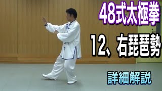 ４８式太極拳　１２、右琵琶勢【ヨウピィパァシィ】詳細解説（日本語字幕付き）