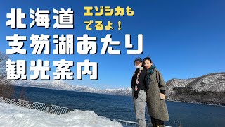 支笏湖　新千歳空港あたりを6分で観光案内　エゾシカだらけの北海道