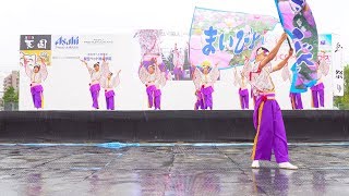 [4K]貝塚よさこい「舞人」～まいびと～　ゑぇじゃないか祭り 2017 メイン会場