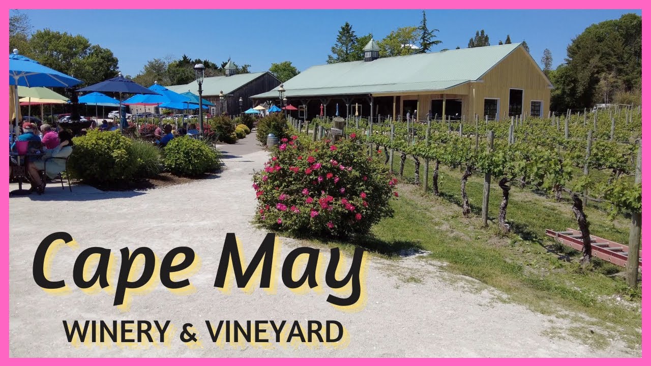 Cape May Winery And Vineyard | Cape May NJ - YouTube