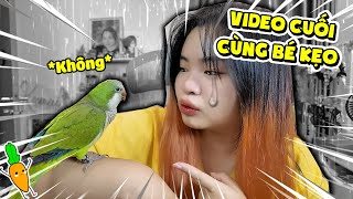 ĐÂY LÀ VIDEO CUỐI CÙNG KAMUI QUAY CÙNG BÉ KẸO