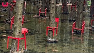 200 MOMENTOS INCRÍVEIS GRAVADOS PELAS CÂMERAS DE VIGILÂNCIA | O MELHOR DO MÊS