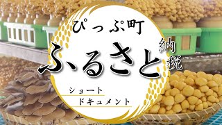 ぴっぷ町ふるさと納税ショートドキュメント１「遠藤農産」