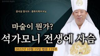 마술이 뭔지 알아? 석가모니가 전생에 사슴이라는말 육도윤회- 용화 미륵부처님 법문